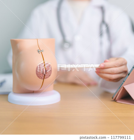 Doctor with Breast Anatomy model. Breast Augmentation Surgery, October Breast Cancer Awareness month, implant, Diagnosis, Beauty woman enlargement and medical education concept Doctor with Breast Anatomy model. Breast Augmentation Surgery, October Breast Cancer Awareness month, implant, Diagnosis, Beauty woman enlargement and medical education concept 117799111