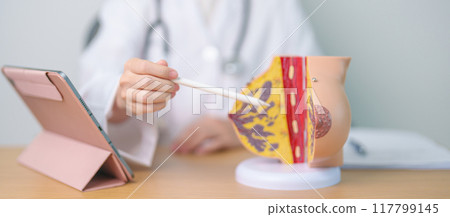 Doctor with Breast Anatomy model. Breast Augmentation Surgery, October Breast Cancer Awareness month, implant, Diagnosis, Beauty woman enlargement and medical education concept Doctor with Breast Anatomy model. Breast Augmentation Surgery, October Breast Cancer Awareness month, implant, Diagnosis, Beauty woman enlargement and medical education concept 117799145