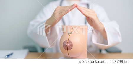 Doctor hand cover Breast Anatomy model. Breast Augmentation Surgery, October Breast Cancer Awareness month, implant, Diagnosis, Beauty woman enlargement and medical education concept 117799151