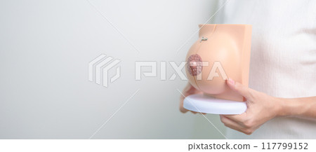 Woman holding Breast Anatomy model. Breast Augmentation Surgery, October Breast Cancer Awareness month, Pregnant, Diagnosis, Beauty woman enlargement and medical concept 117799152