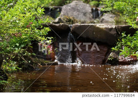 Tottori Four Seasons Walk Spring Encounter Forest 117799684