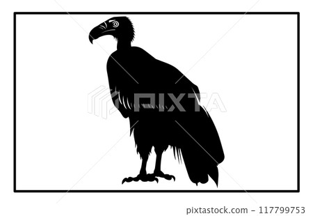 vultur silhouette set design, silhouette of a flying vulture. vultur silhouette set design, silhouette of a flying vulture. 117799753