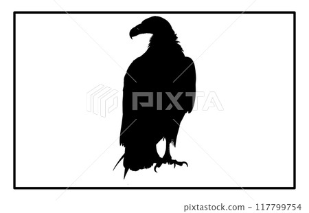 vultur silhouette set design, silhouette of a flying vulture. vultur silhouette set design, silhouette of a flying vulture. 117799754