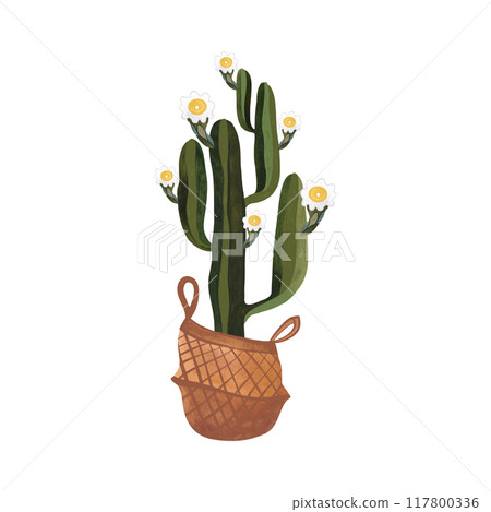 Cactus in a wicker basket. Plants for the home. Floriculture. Interior decoration. Isolated watercolor illustration on white background. Clipart. 117800336