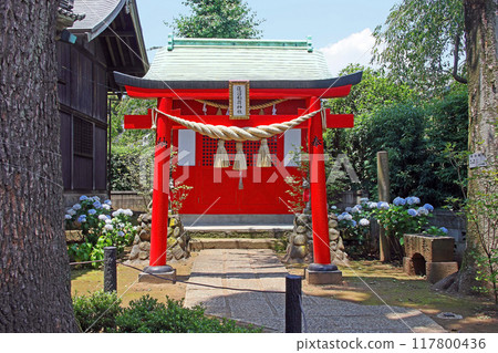 蓮沼冰河神社(板橋) 蓮沼冰河神社(板橋) 117800436