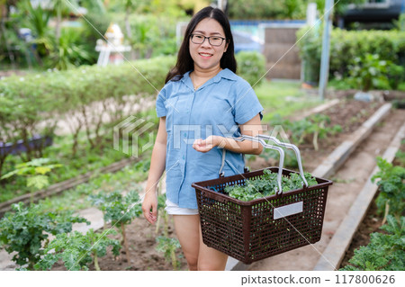 Asian happiness Young farmer woman with green fresh kale in basket in a vegetable organic garden on the farm at home, useful for health and High in antioxidants. Asian happiness Young farmer woman with green fresh kale in basket in a vegetable organic garden on the farm at home, useful for health and High in antioxidants. 117800626