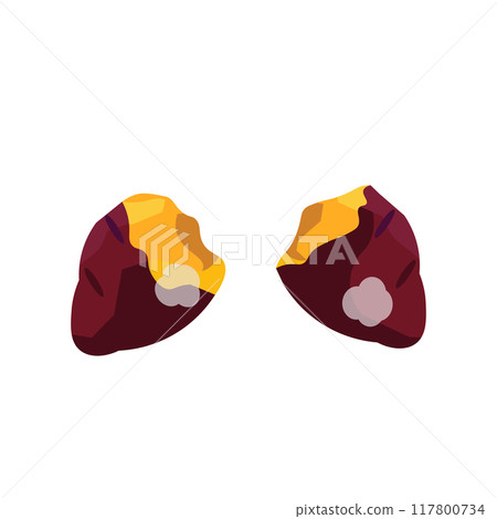 Illustration of a hot roasted sweet potato Illustration of a hot roasted sweet potato 117800734