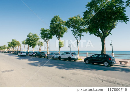 Seaside tree-lined road and parked cars 117800746