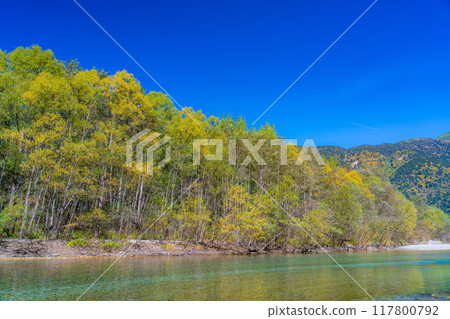 [秋季素材]錦州上高地和梓川的清流[長野縣] 117800792
