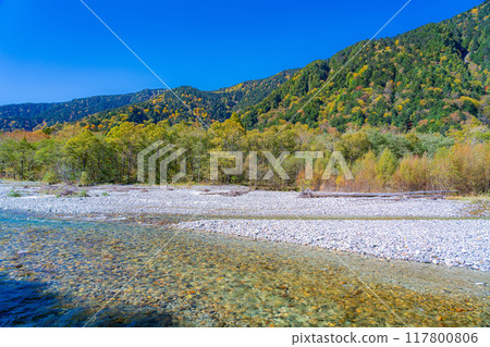 [秋季素材]錦州上高地和梓川的清流[長野縣] 117800806