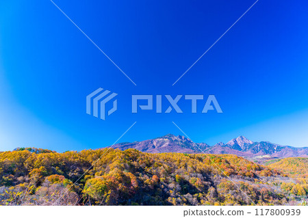 [Autumn material] Yatsugatake and blue sky during the autumn leaves season seen from Yatsugatake Ohashi Bridge [Yamanashi Prefecture] 117800939