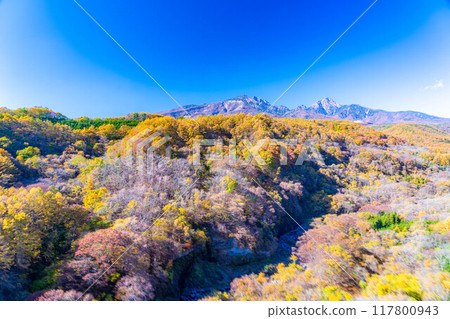 [Autumn material] Yatsugatake and blue sky during the autumn leaves season seen from Yatsugatake Ohashi Bridge [Yamanashi Prefecture] 117800943