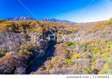[Autumn material] Yatsugatake and blue sky during the autumn leaves season seen from Yatsugatake Ohashi Bridge [Yamanashi Prefecture] 117800945