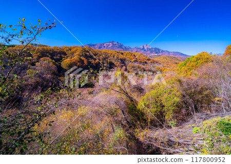 [Autumn material] Yatsugatake and blue sky during the autumn leaves season seen from Yatsugatake Ohashi Bridge [Yamanashi Prefecture] 117800952
