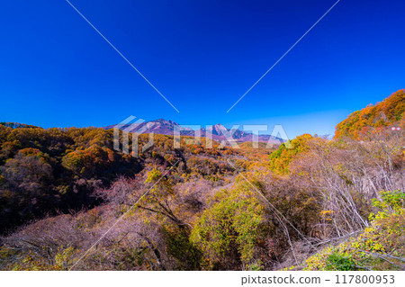 [Autumn material] Yatsugatake and blue sky during the autumn leaves season seen from Yatsugatake Ohashi Bridge [Yamanashi Prefecture] 117800953