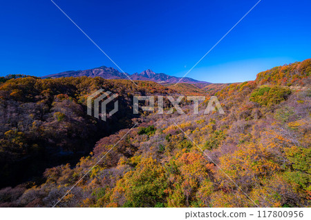 [秋天素材]從八嶽大橋看到的紅葉季節的八岳和藍天[山梨縣] 117800956