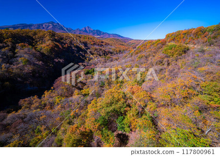 [Autumn material] Yatsugatake and blue sky during the autumn leaves season seen from Yatsugatake Ohashi Bridge [Yamanashi Prefecture] 117800961