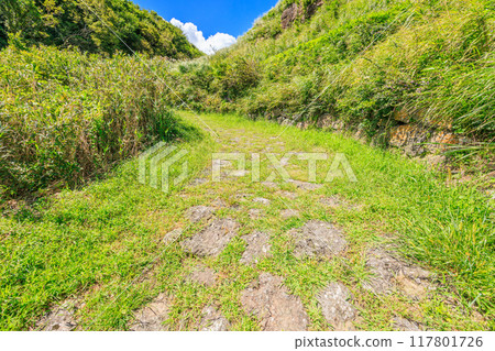 豐後高速公路雙通道石板路 豐後高速公路雙通道石板路 117801726