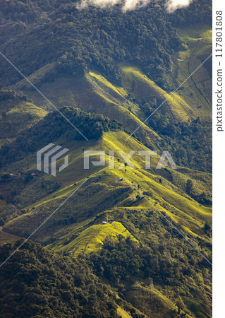 Landscape of Morning Mist with Mountain Layer at north of Thailand. mountain ridge and clouds in rural jungle bush forest 117801808