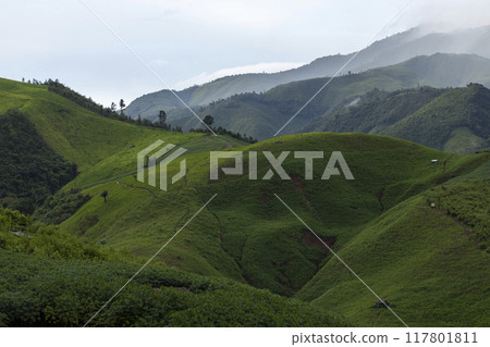 Landscape of Morning Mist with Mountain Layer at north of Thailand. mountain ridge and clouds in rural jungle bush forest 117801811