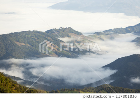 Landscape of Morning Mist with Mountain Layer at north of Thailand. mountain ridge and clouds in rural jungle bush forest Landscape of Morning Mist with Mountain Layer at north of Thailand. mountain ridge and clouds in rural jungle bush forest 117801836