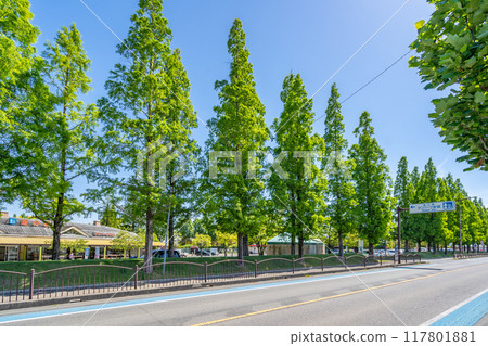 路邊車站 Den Park Anjo：簽約農民種植的新鮮蔬菜和水果；梨和無花果是日本領先的生產商之一。 117801881