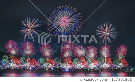 夏天的花朵倒映在琵琶湖中 117801898