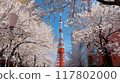 東京塔和櫻花 東京塔和櫻花 117802000