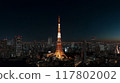東京鐵塔和夜景 東京鐵塔和夜景 117802002