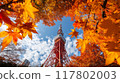 東京鐵塔和秋葉 東京鐵塔和秋葉 117802003