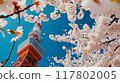 東京塔和櫻花 東京塔和櫻花 117802005