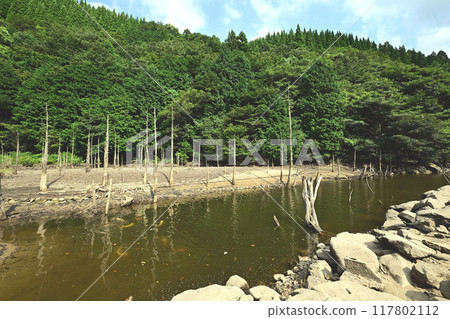 Aoi Miri Pond 117802112