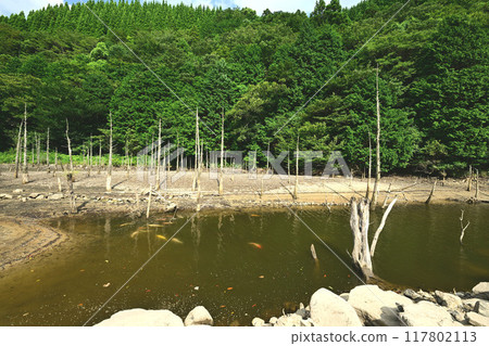 Aoi Miri Pond Aoi Miri Pond 117802113