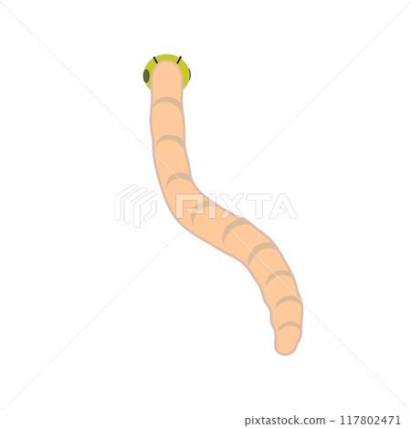 昆蟲插畫 117802471