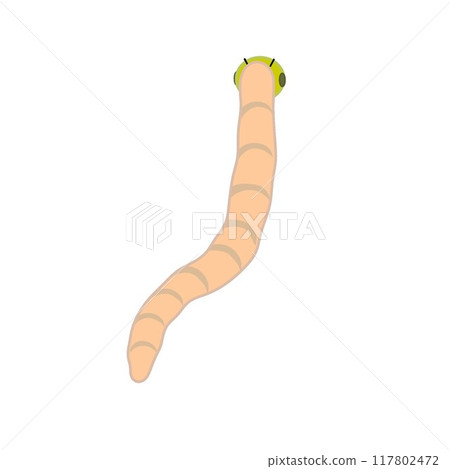 昆蟲插畫 117802472