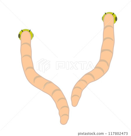 昆蟲插畫 117802473