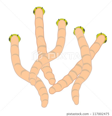 昆蟲插畫 昆蟲插畫 117802475