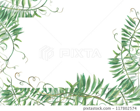 Mouse pea flowerless banner. wildflower climbing plan twig template. Watercolour floral illustration. Meadow grass, realistic hand painted Clipart for greeting card, label. isolated from background. Mouse pea flowerless banner. wildflower climbing plan twig template. Watercolour floral illustration. Meadow grass, realistic hand painted Clipart for greeting card, label. isolated from background. 117802574