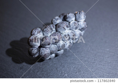 葡萄坎貝爾 葡萄坎貝爾 117802840