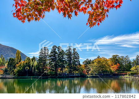 Autumn leaves of Yufuin gold scale lake 117802842