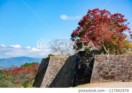 Ishigaki and autumn leaves of Oka castle ruins 117802978