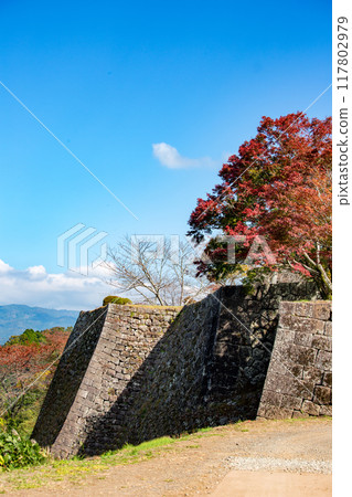 Ishigaki and autumn leaves of Oka castle ruins 117802979