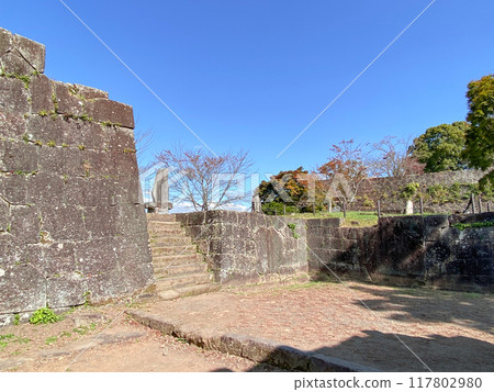 Ishigaki and autumn leaves of Oka castle ruins 117802980