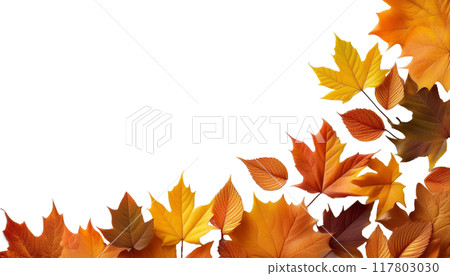 Fallen leaves bottom right frame 117803030