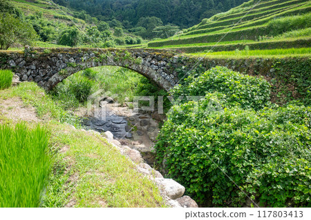 醫院裡的良愛川橋和水稻梯田 醫院裡的良愛川橋和水稻梯田 117803413