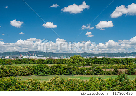 淀川公園的夏天,位於寢屋川市大馬地區 淀川公園的夏天,位於寢屋川市大馬地區 117803456
