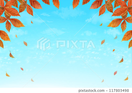 Autumn frame background: trees and fallen leaves 117803498