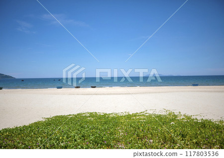 This is a beautiful view of My Khe Beach, a famous tourist attraction in Danang, Vietnam. 117803536