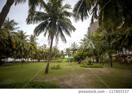 This is a beautiful view of My Khe Beach, a famous tourist attraction in Danang, Vietnam. 117803537