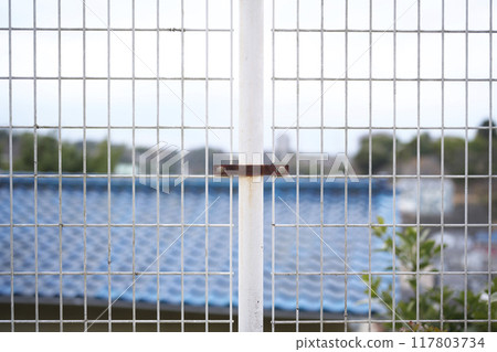 White fence White fence 117803734